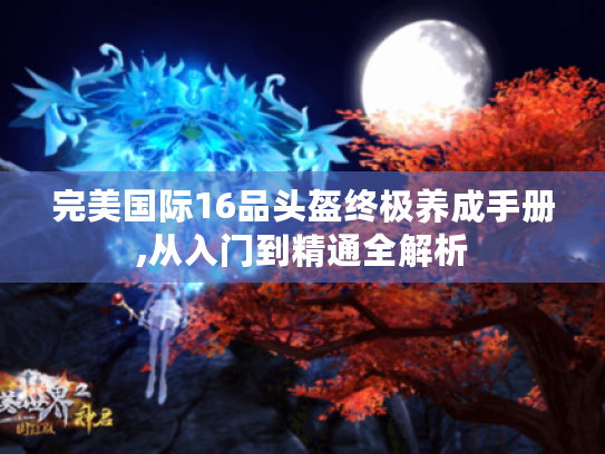 完美国际16品头盔终极养成手册,从入门到精通全解析