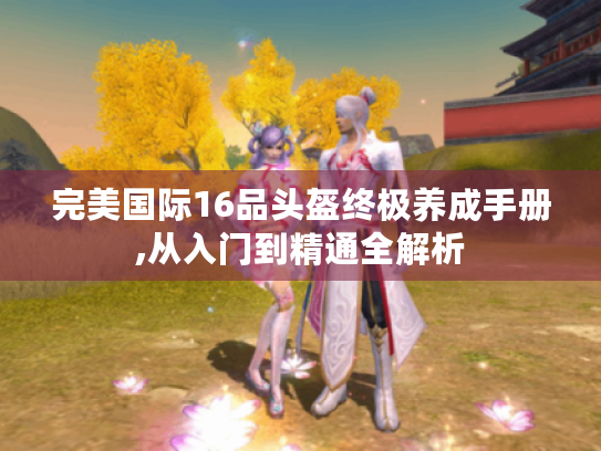 完美国际16品头盔终极养成手册,从入门到精通全解析