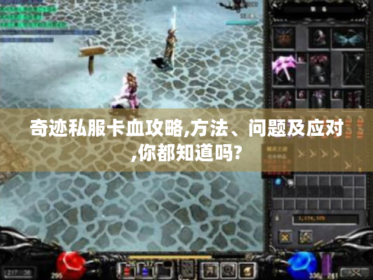 奇迹私服卡血攻略,方法、问题及应对,你都知道吗?