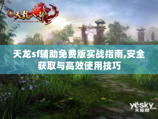 天龙sf辅助免费版实战指南,安全获取与高效使用技巧