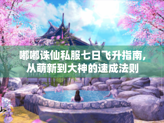 嘟嘟诛仙私服七日飞升指南,从萌新到大神的速成法则