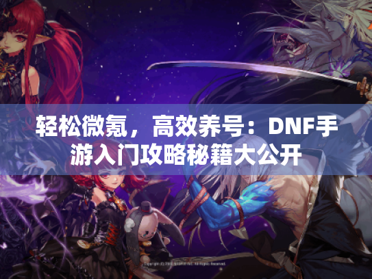 轻松微氪，高效养号：DNF手游入门攻略秘籍大公开