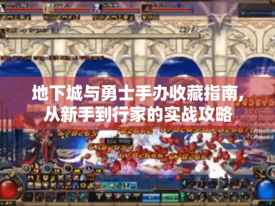 地下城与勇士手办收藏指南,从新手到行家的实战攻略