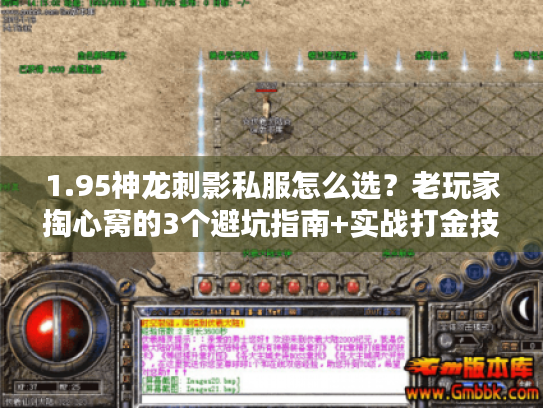 1.95神龙刺影私服怎么选？老玩家掏心窝的3个避坑指南+实战打金技巧