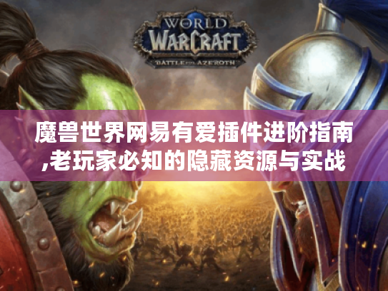 魔兽世界网易有爱插件进阶指南,老玩家必知的隐藏资源与实战技巧