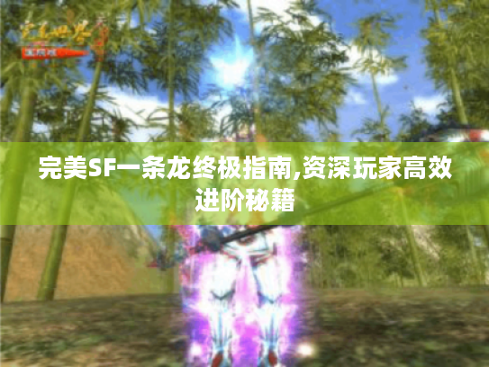 完美SF一条龙终极指南,资深玩家高效进阶秘籍