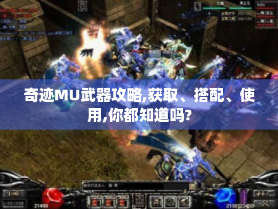 奇迹MU武器攻略,获取、搭配、使用,你都知道吗?