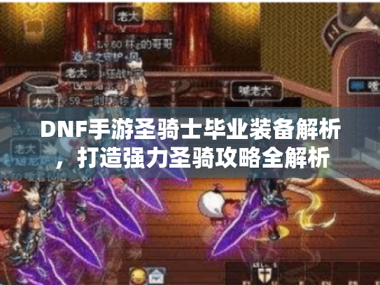 DNF手游圣骑士毕业装备解析,打造强力圣骑攻略全解析 DNF手游圣骑士毕业装备解析,打造强力圣骑攻略全解析