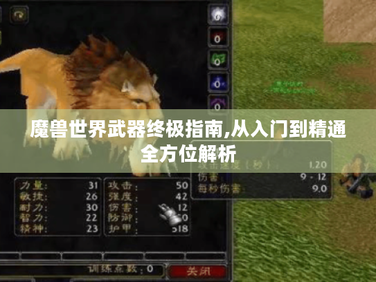 魔兽世界武器终极指南,从入门到精通全方位解析 魔兽世界武器终极指南,从入门到精通全方位解析