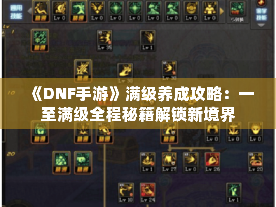 《DNF手游》满级养成攻略：一至满级全程秘籍解锁新境界