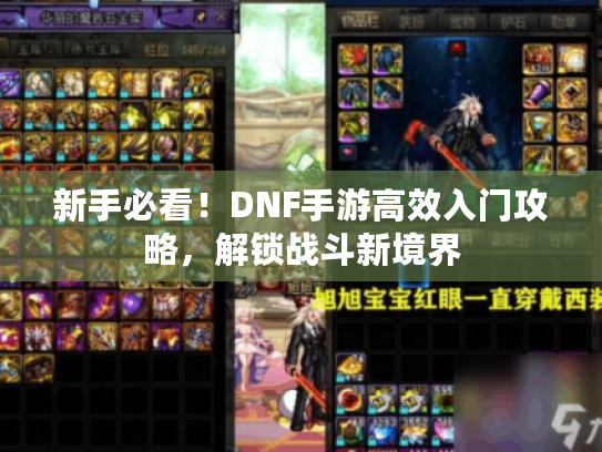 新手必看！DNF手游高效入门攻略，解锁战斗新境界