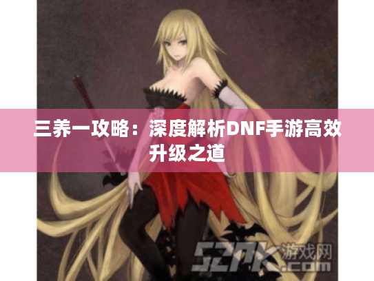 三养一攻略：深度解析DNF手游高效升级之道