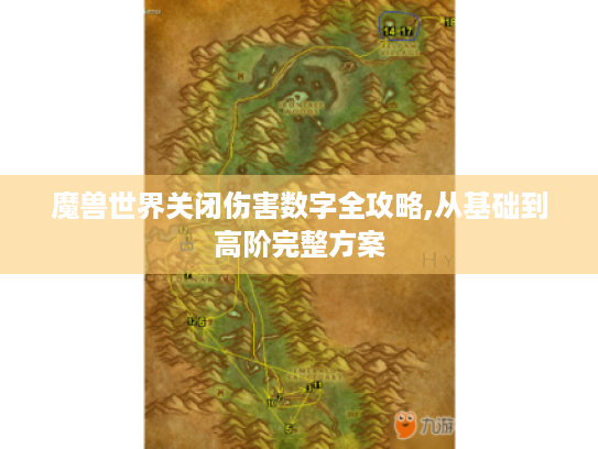 魔兽世界关闭伤害数字全攻略,从基础到高阶完整方案