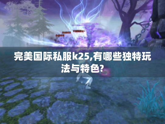 完美国际私服k25,有哪些独特玩法与特色?