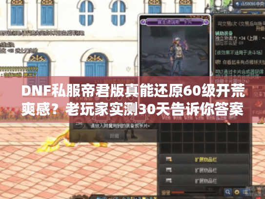 DNF私服帝君版真能还原60级开荒爽感？老玩家实测30天告诉你答案