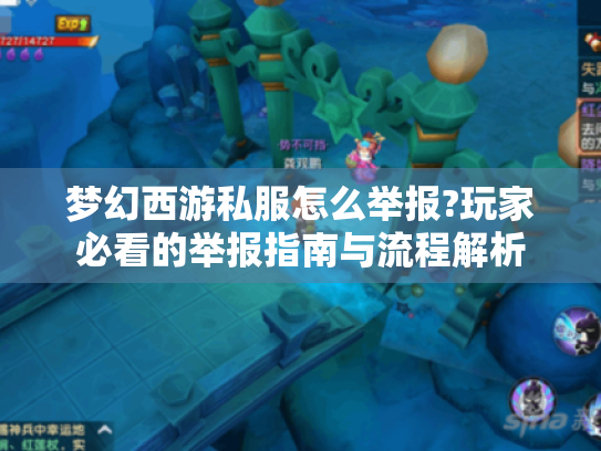 梦幻西游私服怎么举报?玩家必看的举报指南与流程解析