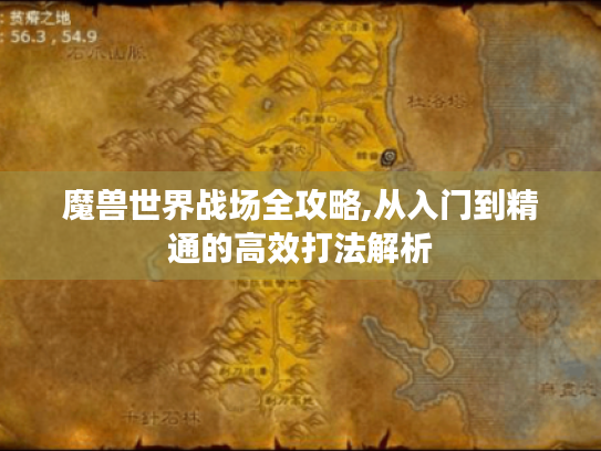 魔兽世界战场全攻略,从入门到精通的高效打法解析