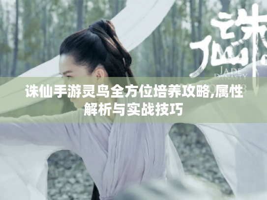 诛仙手游灵鸟全方位培养攻略,属性解析与实战技巧