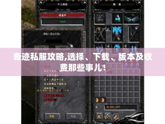 奇迹私服攻略,选择、下载、版本及收费那些事儿！