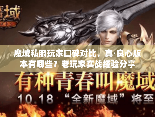魔域私服玩家口碑对比，真·良心版本有哪些？老玩家实战经验分享