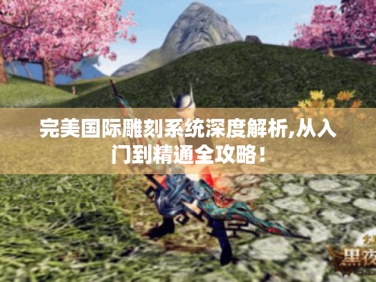 完美国际雕刻系统深度解析,从入门到精通全攻略！