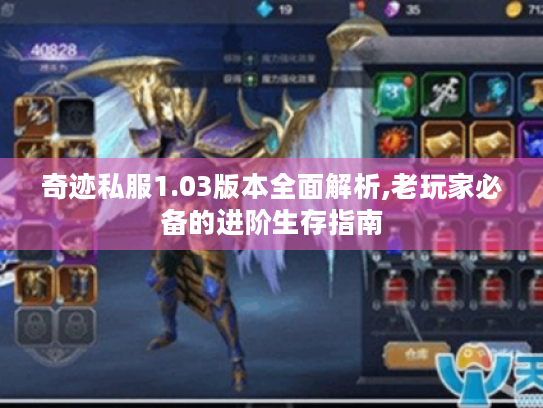 奇迹私服1.03版本全面解析,老玩家必备的进阶生存指南