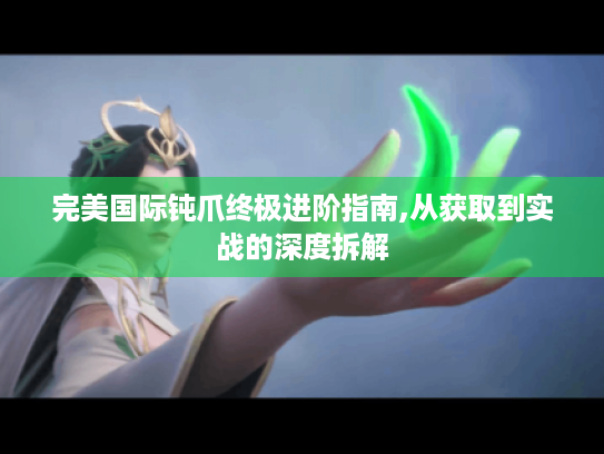 完美国际钝爪终极进阶指南,从获取到实战的深度拆解