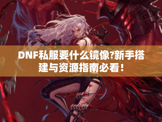 DNF私服要什么镜像?新手搭建与资源指南必看！