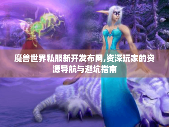 魔兽世界私服新开发布网,资深玩家的资源导航与避坑指南