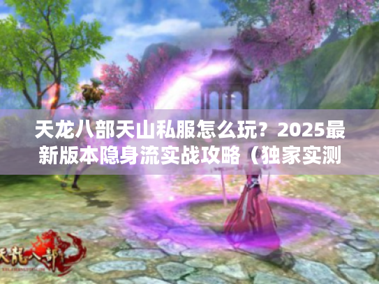 天龙八部天山私服怎么玩?2025最新版本隐身流实战攻略(独家实测) 天龙八部天山私服怎么玩?2025最新版本隐身流实战攻略(独家实测)