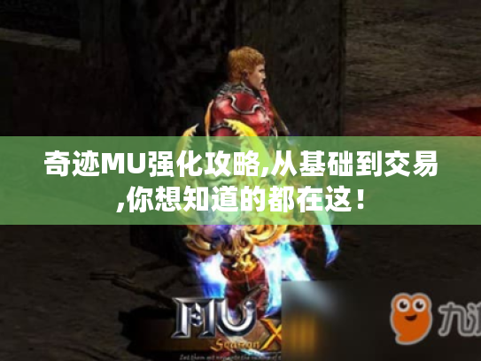 奇迹MU强化攻略,从基础到交易,你想知道的都在这！