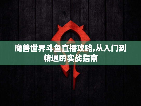 魔兽世界斗鱼直播攻略,从入门到精通的实战指南