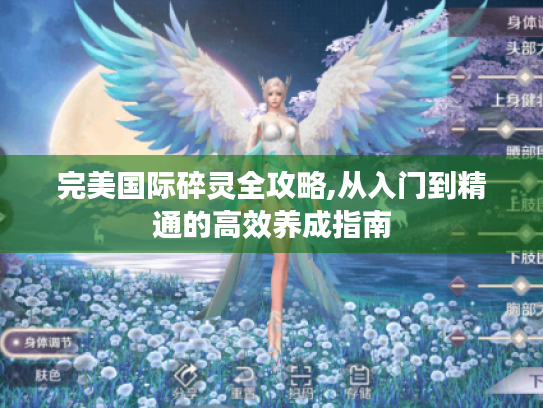 完美国际碎灵全攻略,从入门到精通的高效养成指南 完美国际碎灵全攻略,从入门到精通的高效养成指南
