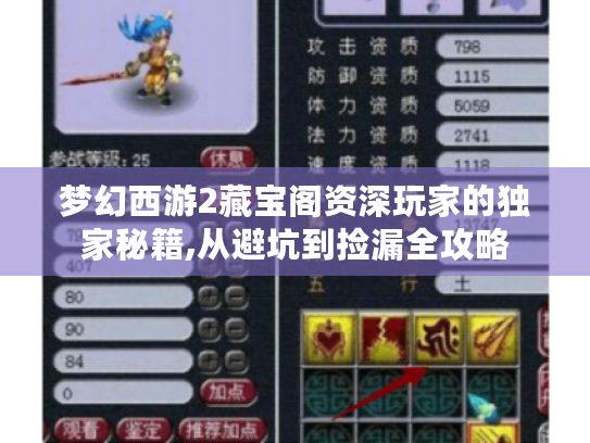 梦幻西游2藏宝阁资深玩家的独家秘籍,从避坑到捡漏全攻略