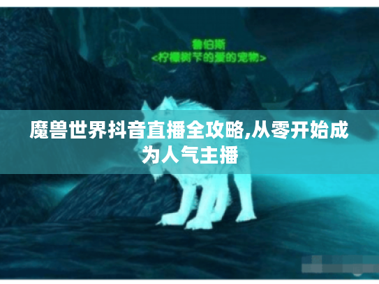 魔兽世界抖音直播全攻略,从零开始成为人气主播