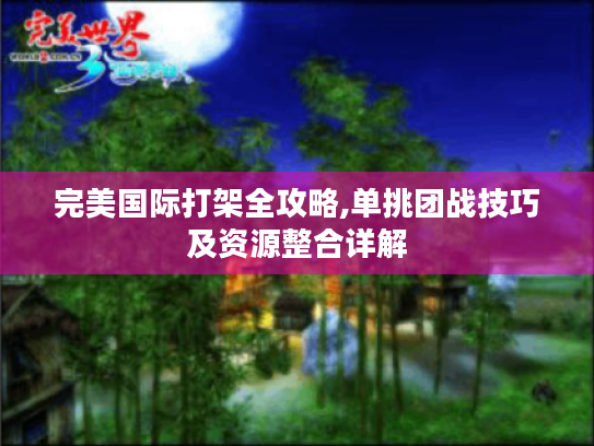完美国际打架全攻略,单挑团战技巧及资源整合详解