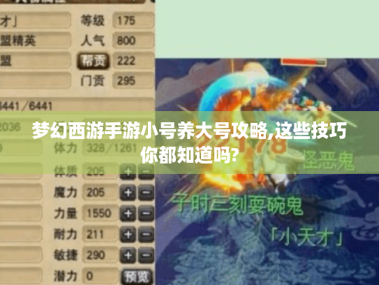 梦幻西游手游小号养大号攻略,这些技巧你都知道吗?