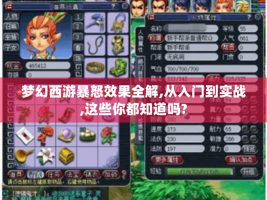 梦幻西游暴怒效果全解,从入门到实战,这些你都知道吗? 梦幻西游暴怒效果全解,从入门到实战,这些你都知道吗?