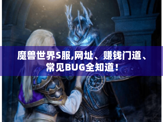 魔兽世界S服,网址、赚钱门道、常见BUG全知道！