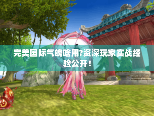 完美国际气魄啥用?资深玩家实战经验公开! 完美国际气魄啥用?资深玩家实战经验公开!