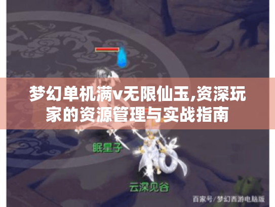 梦幻单机满v无限仙玉,资深玩家的资源管理与实战指南