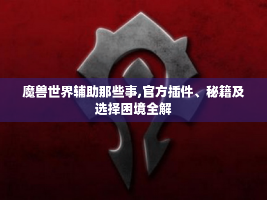 魔兽世界辅助那些事,官方插件、秘籍及选择困境全解