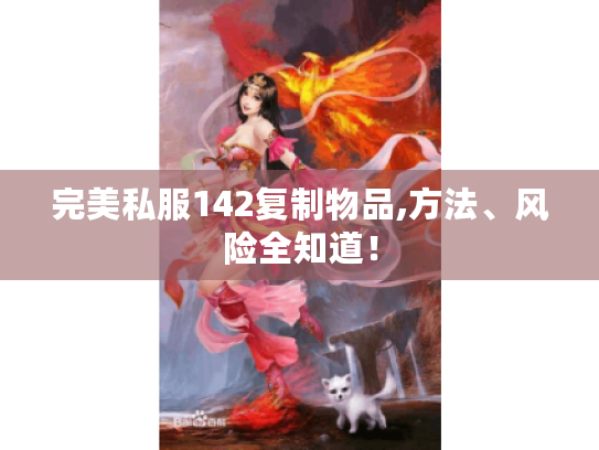 完美私服142复制物品,方法、风险全知道！