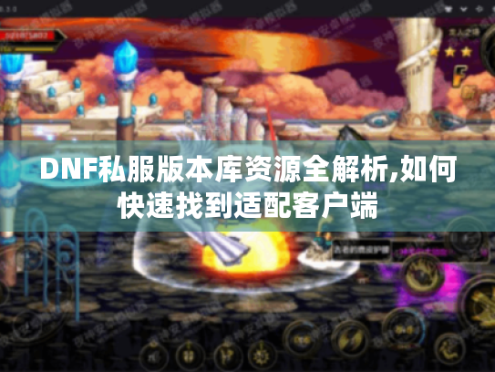 DNF私服版本库资源全解析,如何快速找到适配客户端