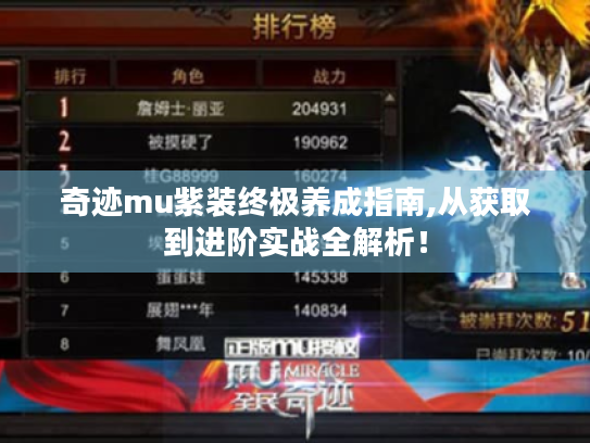奇迹mu紫装终极养成指南,从获取到进阶实战全解析！