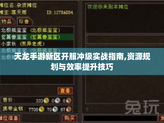 天龙手游新区开服冲级实战指南,资源规划与效率提升技巧