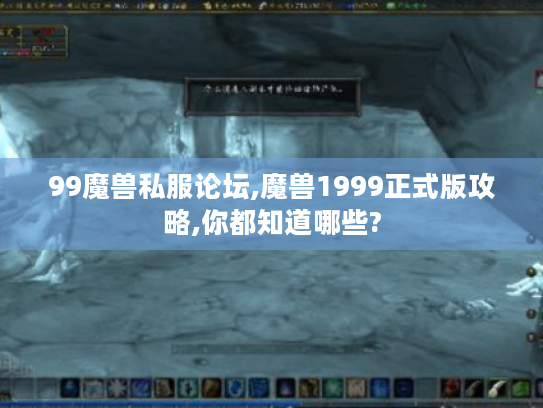99魔兽私服论坛,魔兽1999正式版攻略,你都知道哪些?