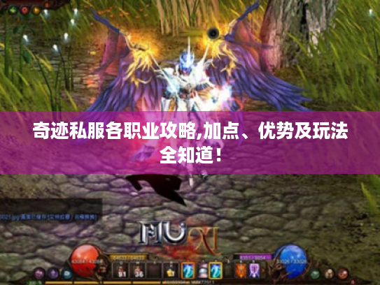 奇迹私服各职业攻略,加点、优势及玩法全知道！