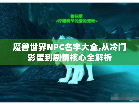 魔兽世界NPC名字大全,从冷门彩蛋到剧情核心全解析