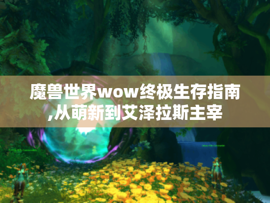 魔兽世界wow终极生存指南,从萌新到艾泽拉斯主宰